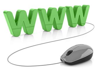 100% Online Program